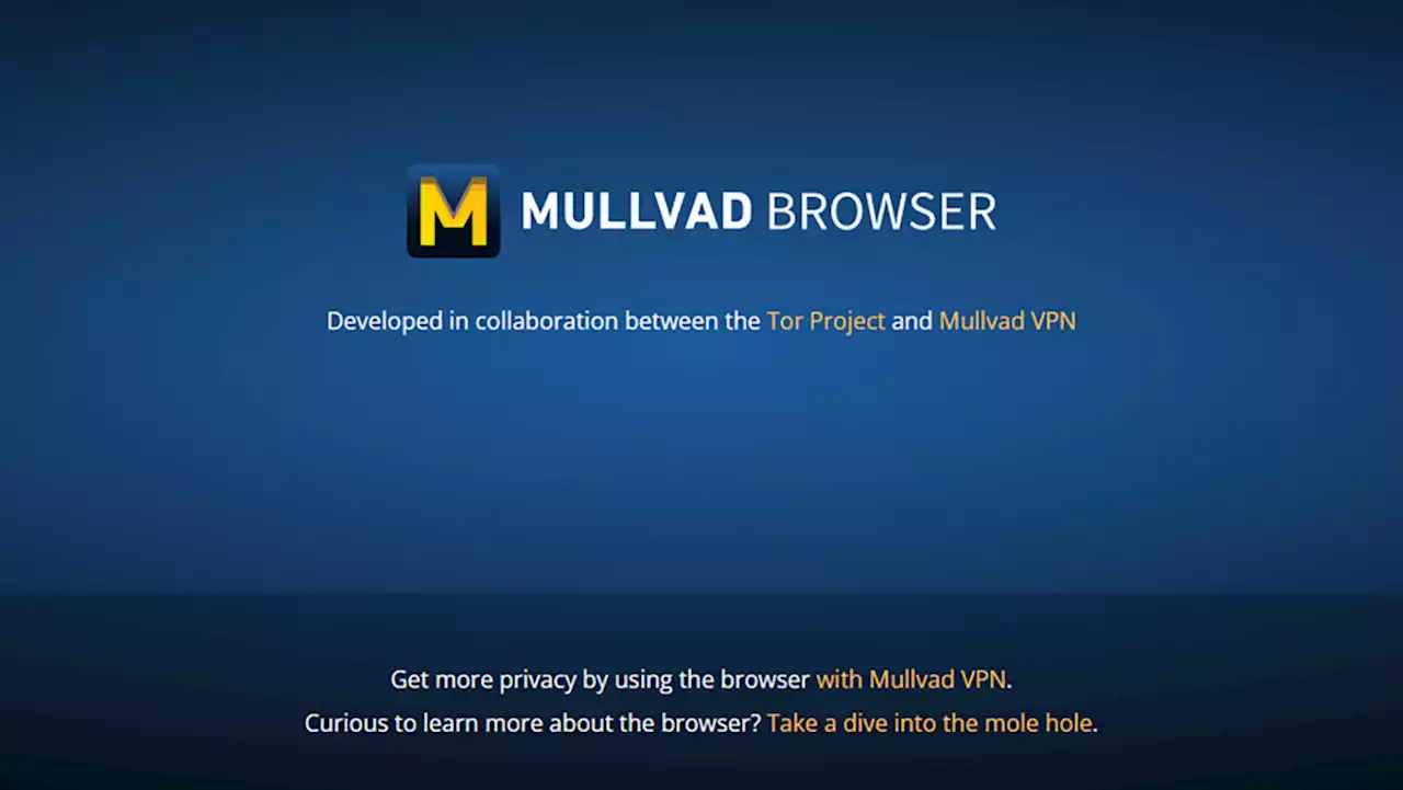 Mullvad Browser im Test: Alternative zu Brave und LibreWolf mit Privacy-Schutz