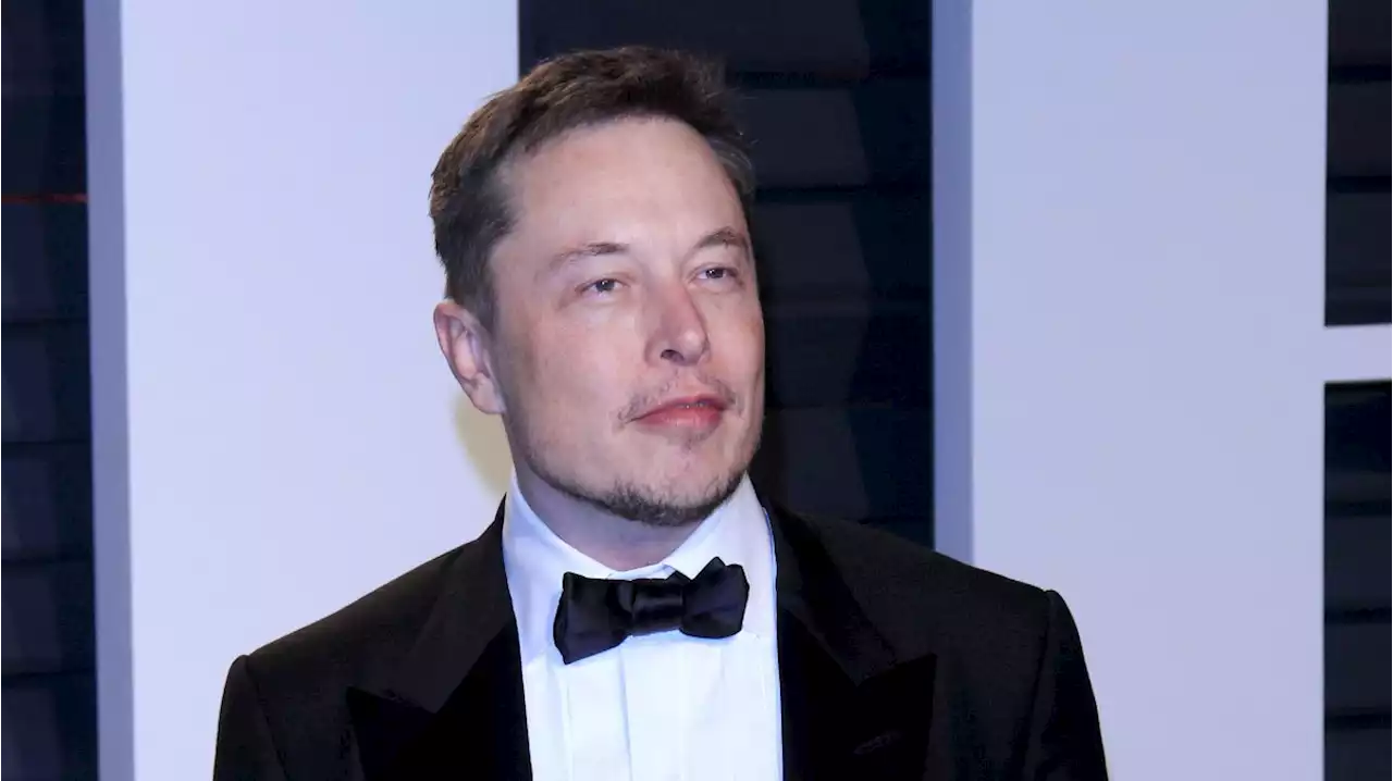 TruthGPT: Musk warnt vor lügendem ChatGPT, eigene KI sei 'beste Möglichkeit'