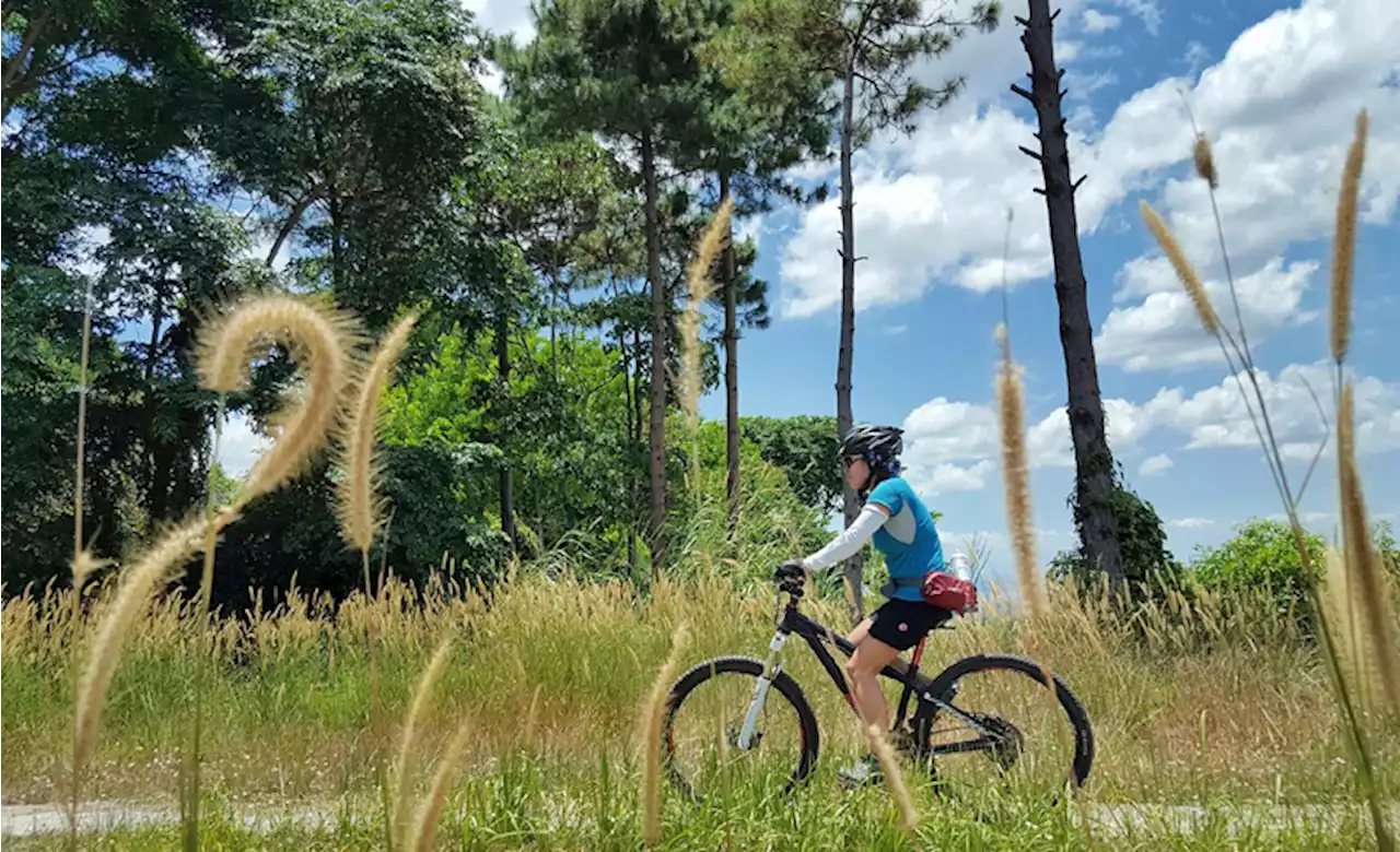 5 unexpected places to bike near Manila