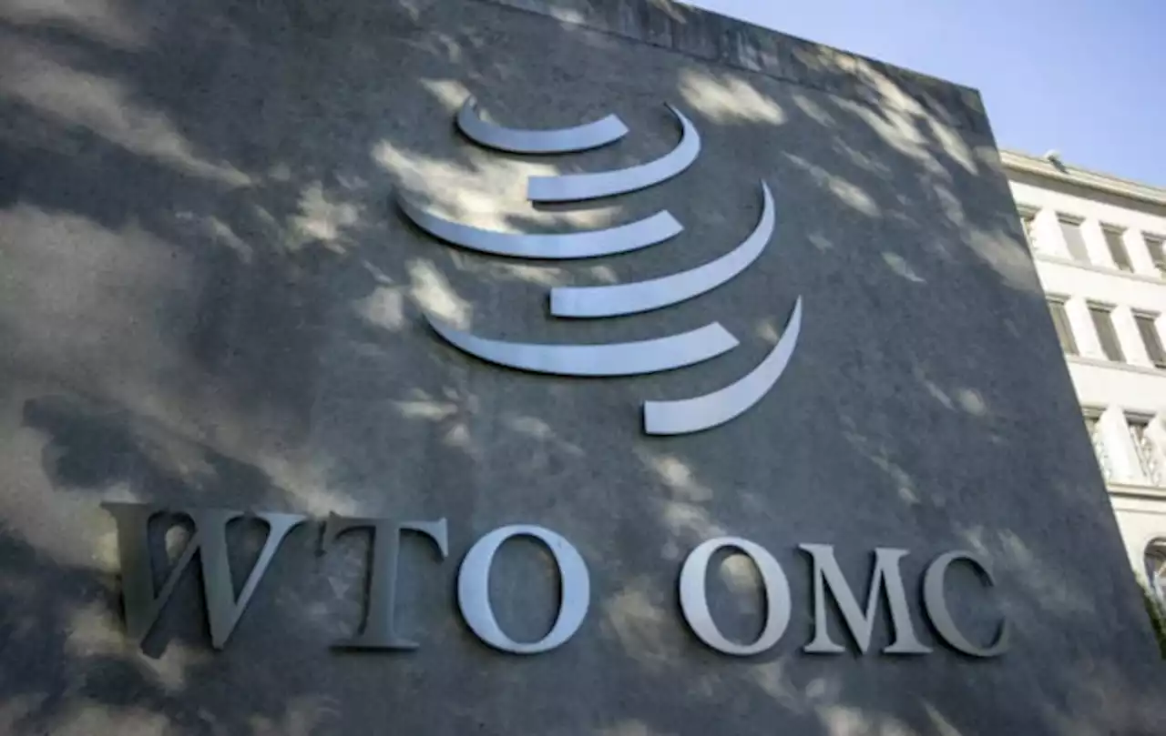 WTO panel rules against India in IT tariffs dispute with EU, others