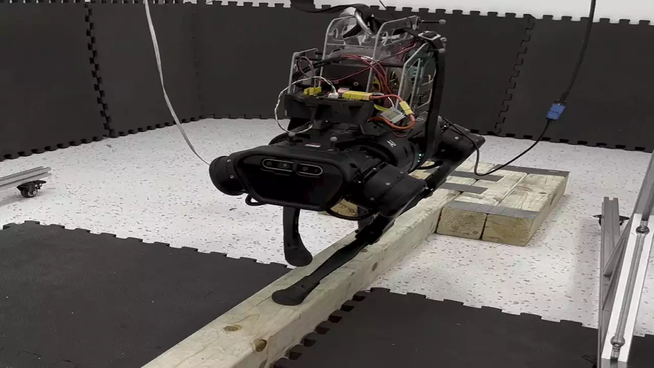 Researchers develop a four-legged robot capable of walking on a balance beam