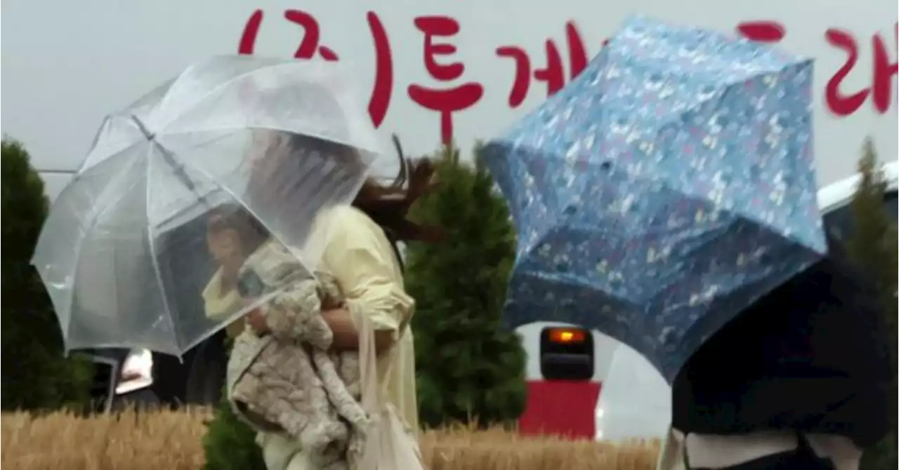 전국 천둥·번개 동반한 요란한 비...돌풍·우박 떨어지는 곳도 | 중앙일보