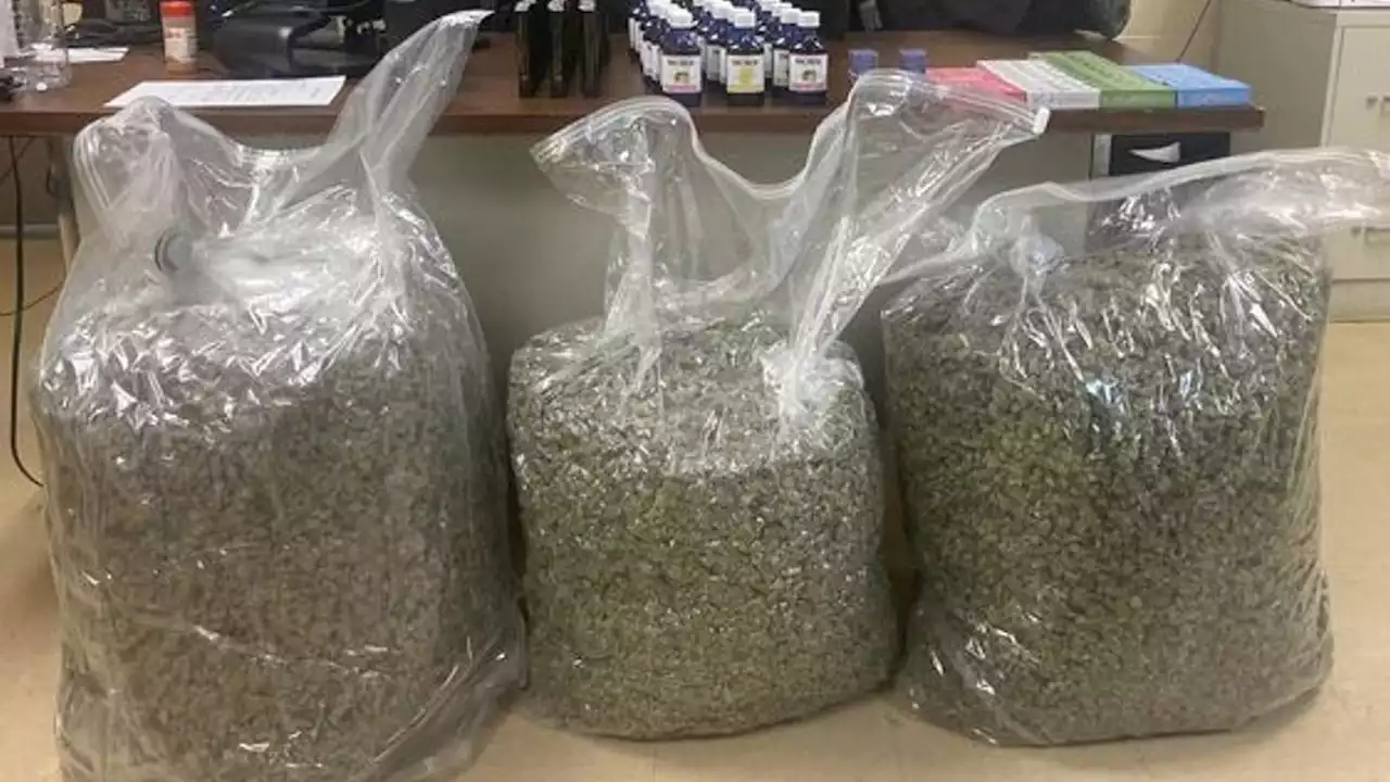 Man caught with nearly 83 pounds of marijuana during traffic stop, police say