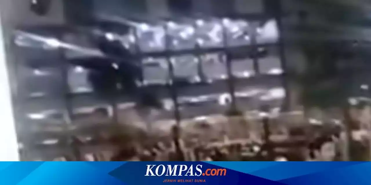 Viral Video Rekaman Remaja Konvoi kemudian Tembak Mercon lalu Kabur