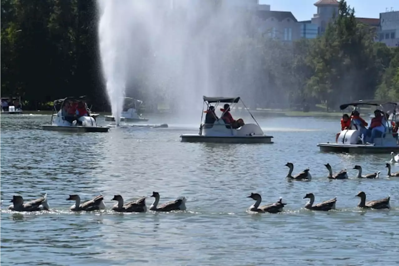 $52M project to redesign Hermann Park will add play areas, dog park, enhance green spaces