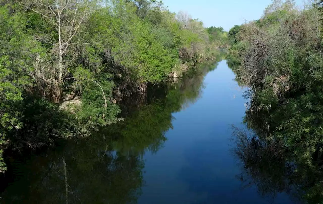 Volunteers for Friends of LA River clean trash and avoid rare endangered birds