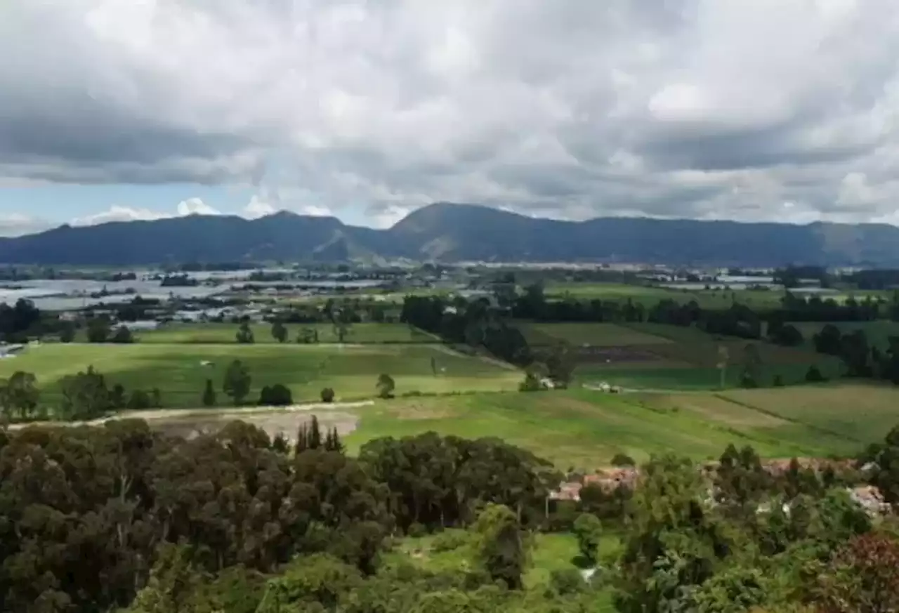 Se le quitarán 30 hectáreas a la reserva Van der Hammen para ampliar la Av. Boyacá