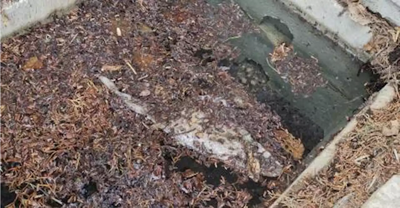 Fuites d’eau dans le Grand Avignon, la colère demeure