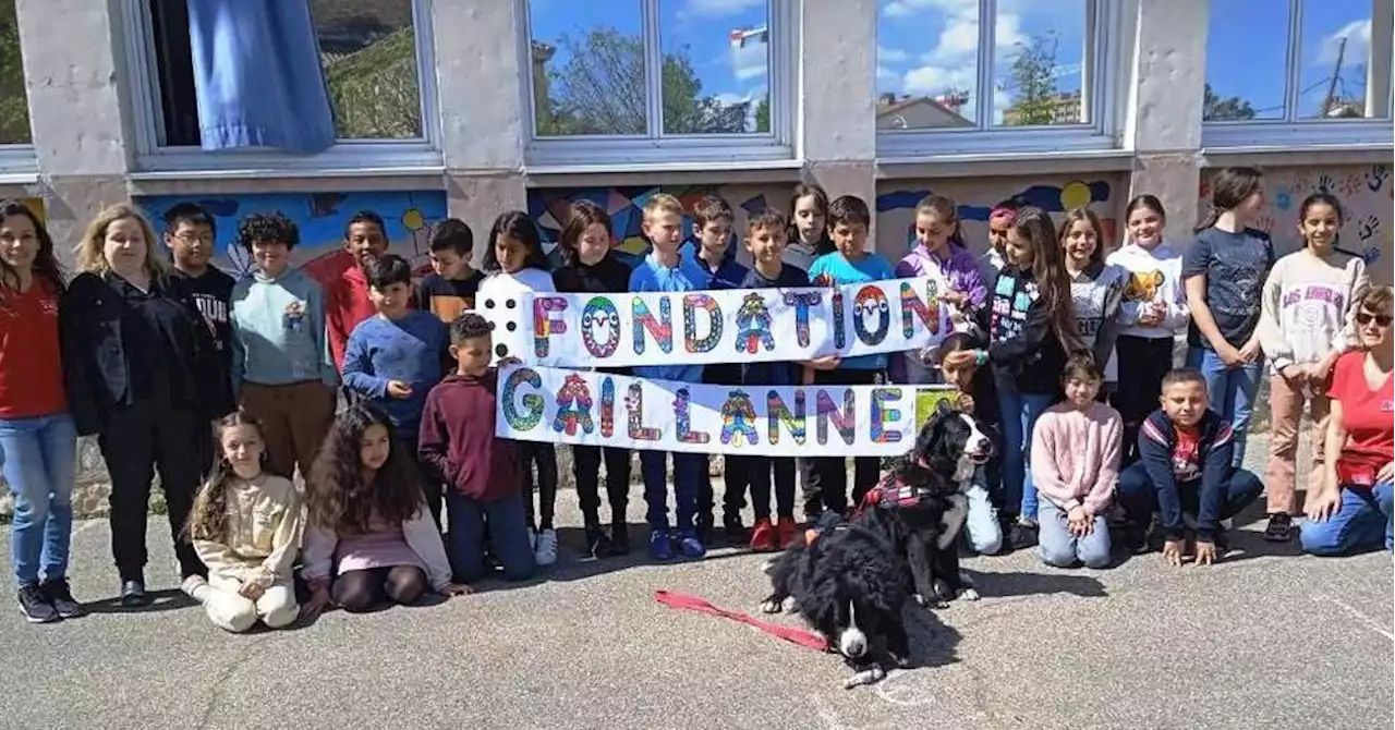 Le Pontet : l'école Marie-Curie aide à l'achat de chiens guides