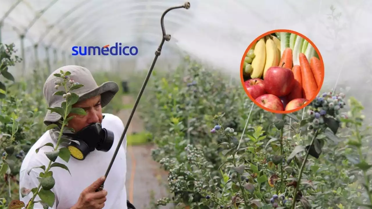 Estas son las frutas y verduras con más pesticidas en el mercado