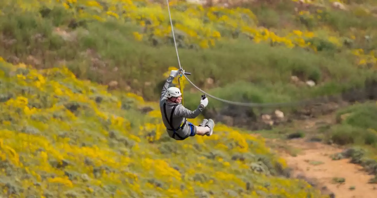 Avoid squishing wildflowers by soaring over the superbloom