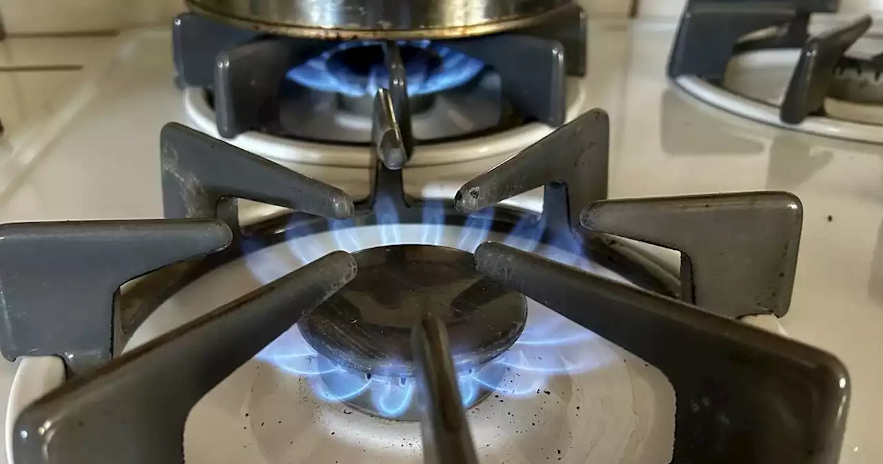 Federal court slows a California ban on natural gas appliances