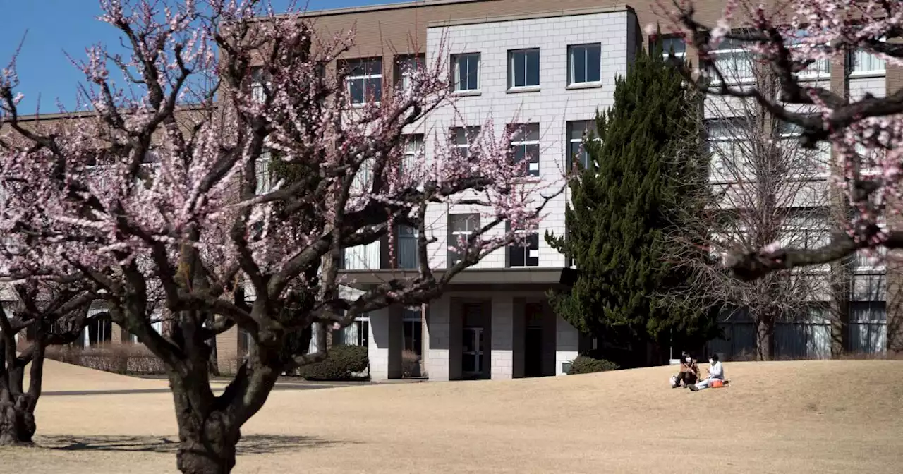 Japan's plummeting university enrollment forecasts what could be ahead for the U.S.