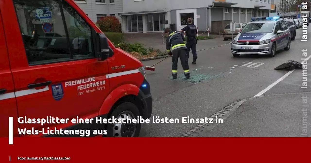 Glassplitter einer Heckscheibe lösten Einsatz in Wels-Lichtenegg aus | laumat|at