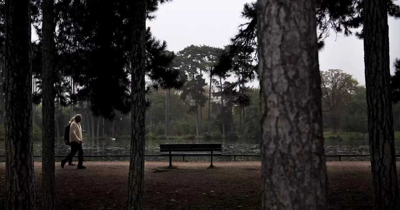 Un policier condamné à trois mois de prison avec sursis après des tirs au bois de Boulogne en 2019