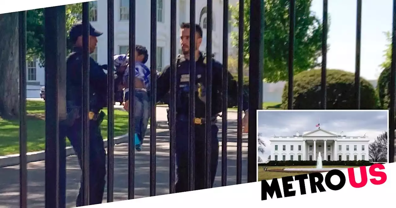 Toddler crawls through White House's upgraded metal fence