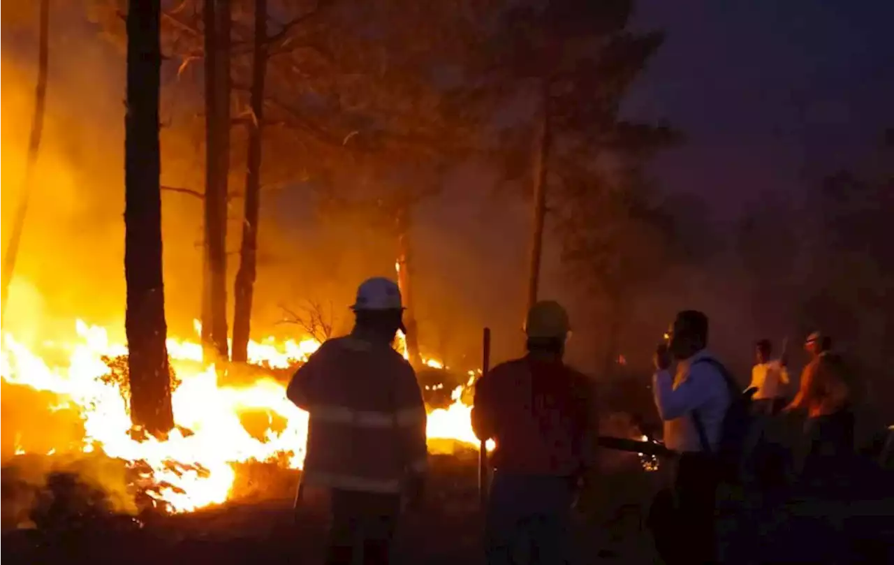 En Durango actualmente hay 4 incendios forestales