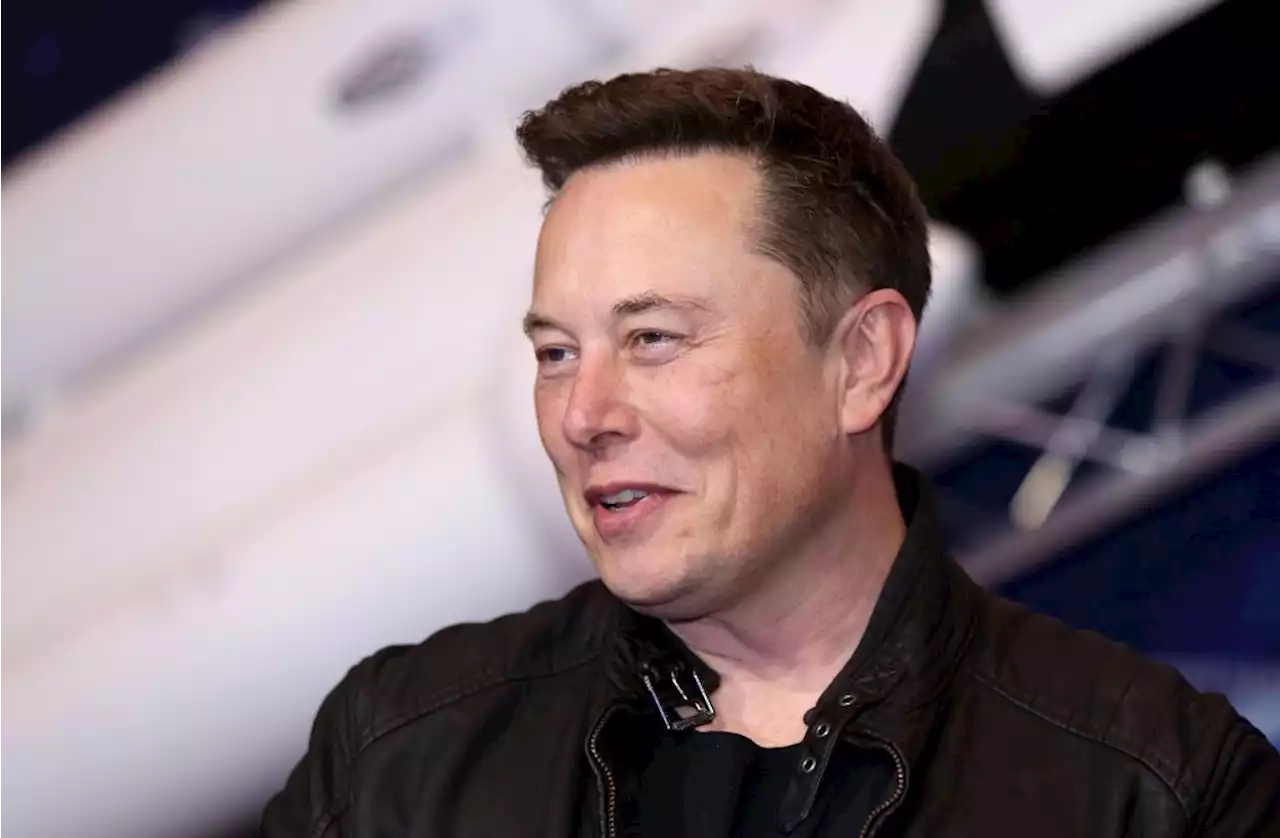 Musk wants to build own ChatGPT AI to rival Microsoft and Google