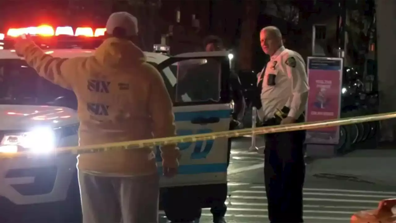 Speeding Driver Who Blew Red Light Arrested in Woman's NYC Crosswalk Death: NYPD