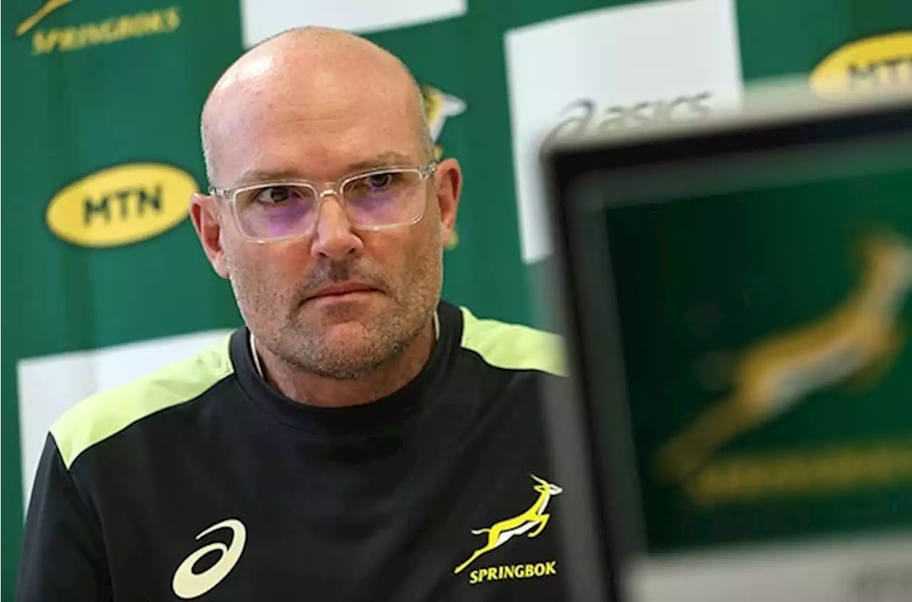 SA Rugby in no rush to appoint Nienaber's replacement but succession plan in place | Sport