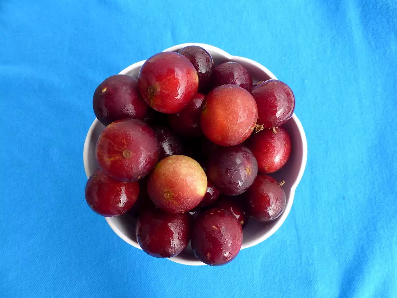 Higher intake of flavonols linked to lower risk of frailty onset in adults