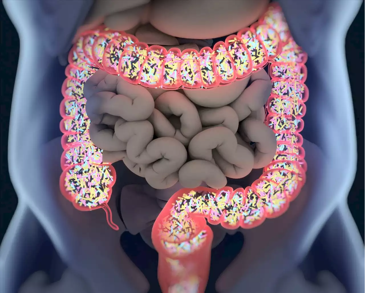 Study indicates that the planetary health diet increases probiotic-associated bacteria in the gut microbiome