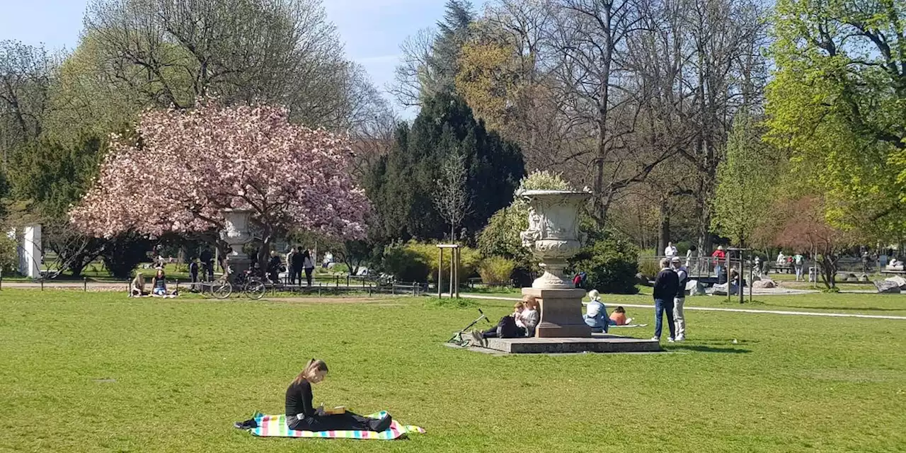 Bis zu 21 Grad: Turbo-Wärme heizt am Wochenende Franken ein