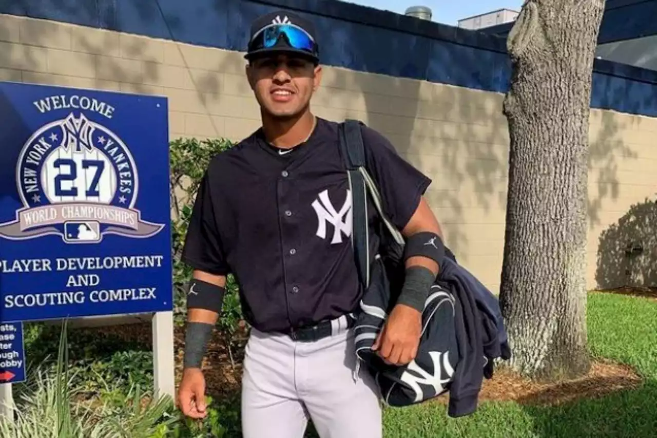 Former Yankees prospect Raimfer Salinas gets 80-game PED suspension