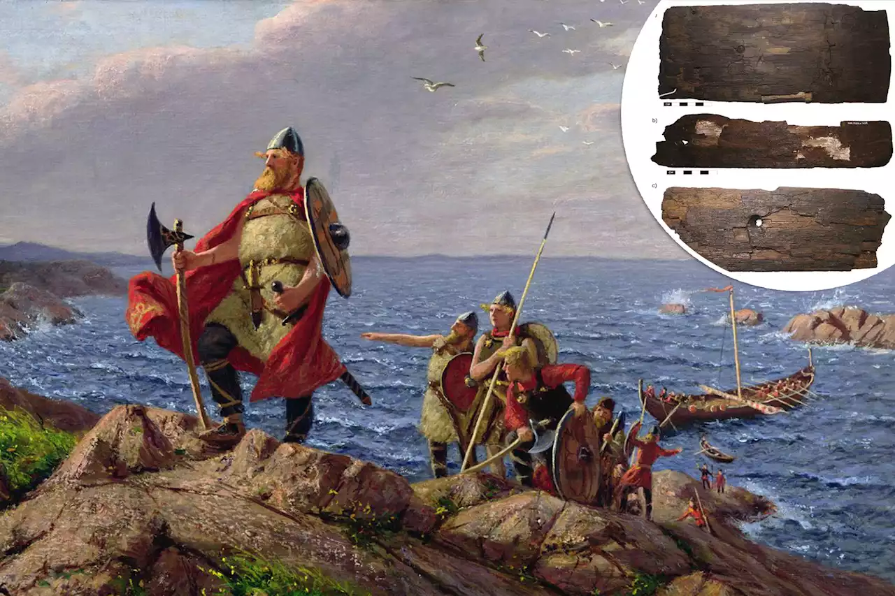 Vikings were in the Americas 500 years before Christopher Columbus: study