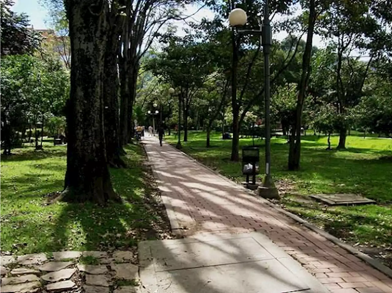 Fotógrafa fue golpeada por ladrones que intentaron robarla en el Parque El Virrey - Pulzo