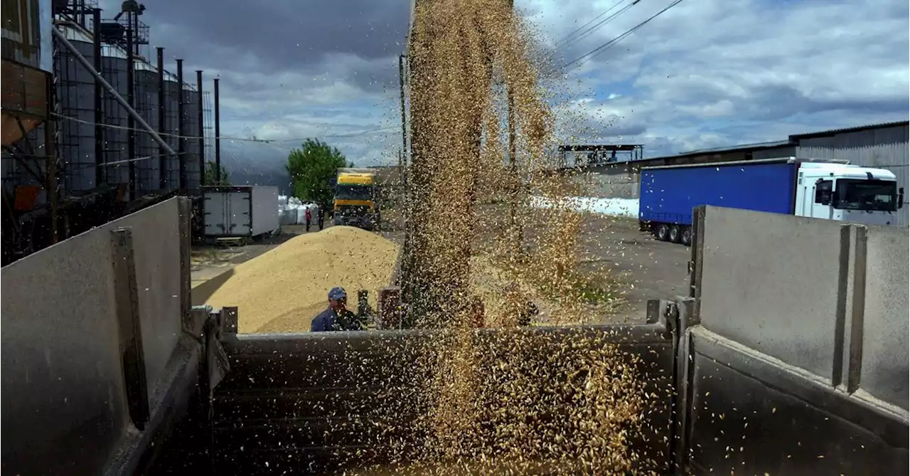 Poland says has reached agreement on transit of Ukrainian grain