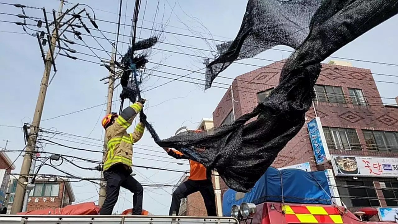 제주 태풍급 강풍…펜스 차 덮치고 천막은 전신주에 '칭칭'