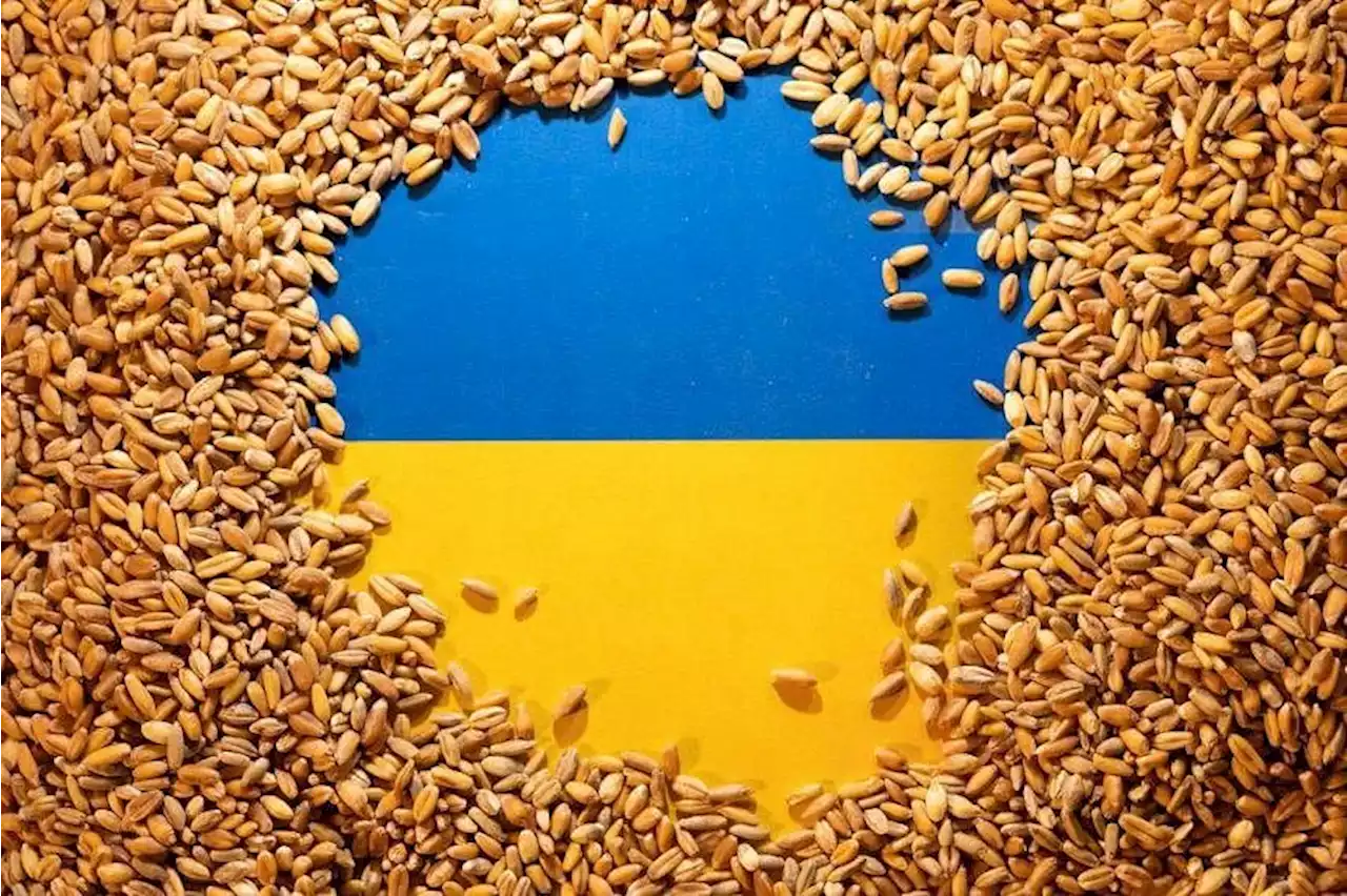 Russia's Lavrov to talk Ukraine grain deal with UN chief next week