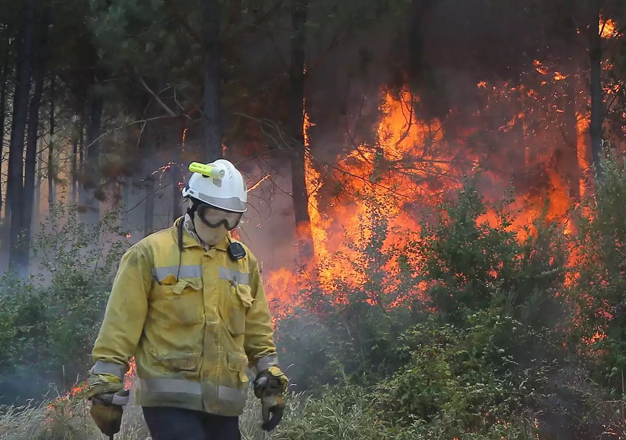 Face au risque d’incendies, une météo des forêts lancée en juin