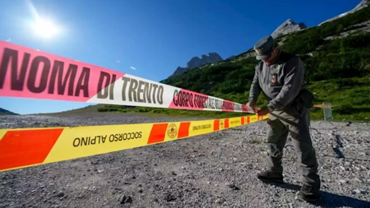 Tragedia en Italia: fue a hacer senderismo a la montaña y se cruzó con un oso