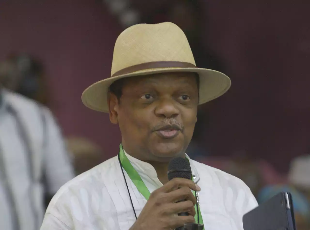 Atedo Peterside accuses INEC of impunity, says Adamawa REC's action embarrassing