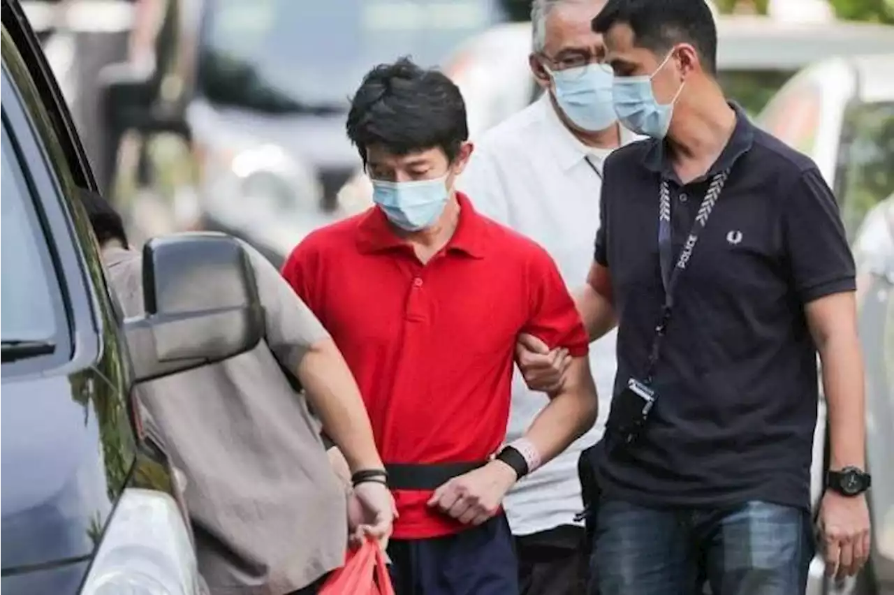 Upper Bukit Timah deaths: Twins' father to plead guilty to culpable homicide not amounting to murder