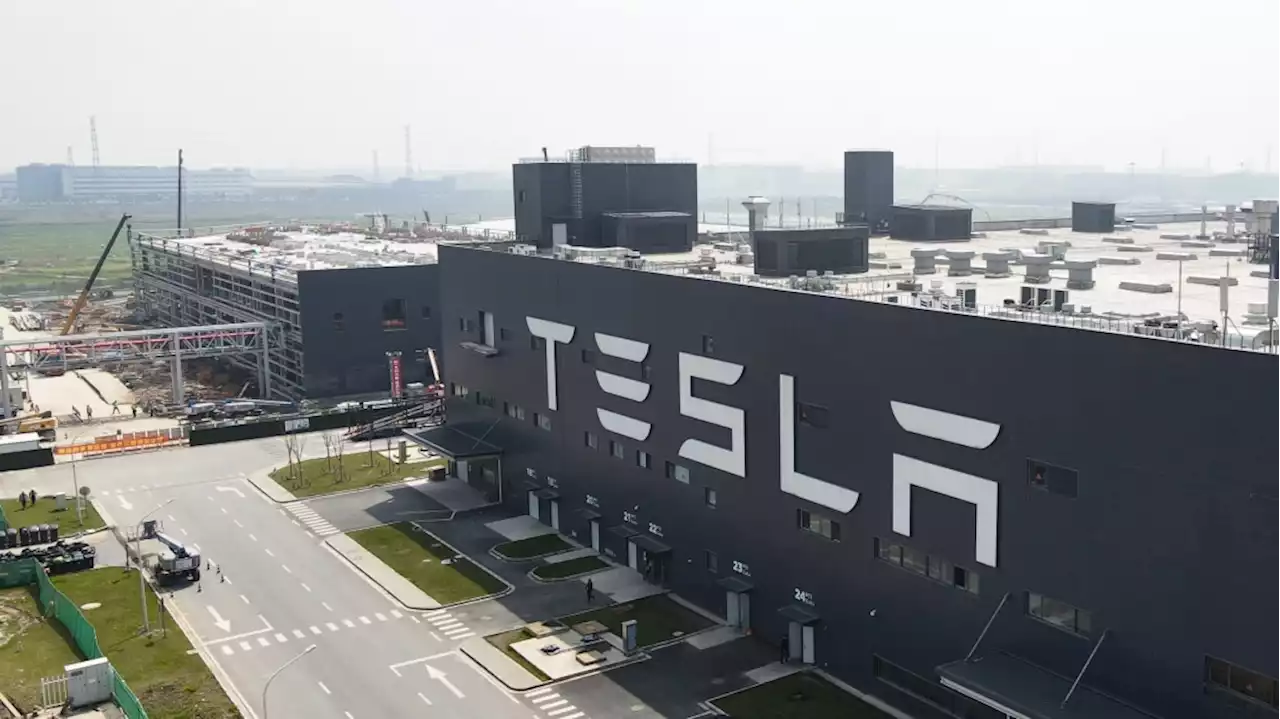 Tesla Shanghai workers criticized Elon Musk online over bonus cuts, even complained to his mom - Autoblog