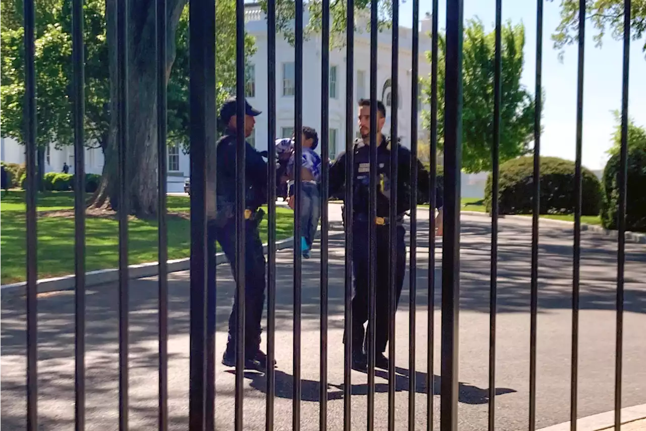 Toddler Scooped Up by Secret Service After Squeezing Through White House Fence