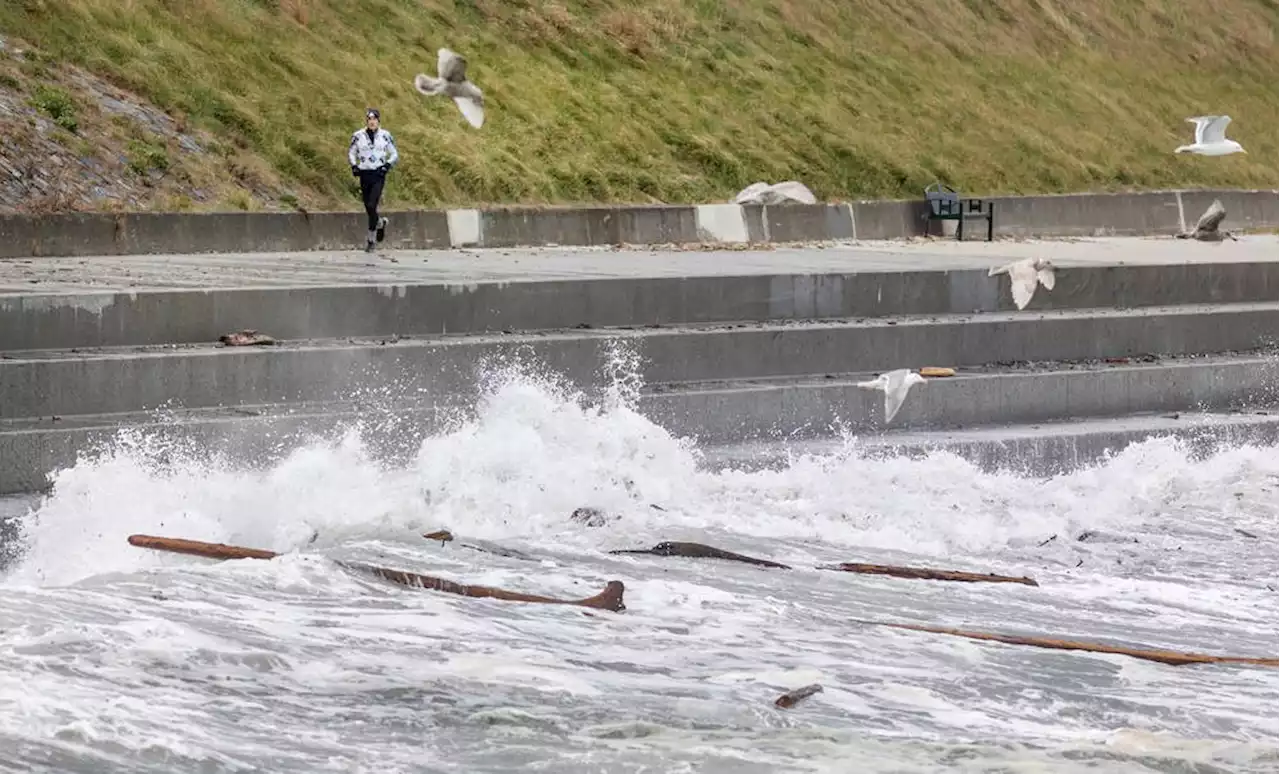 Wind gusts up to 90 km/h expected in Greater Victoria Monday evening