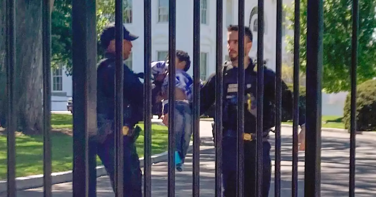 Toddler wiggles through White House fence, triggering security alarms