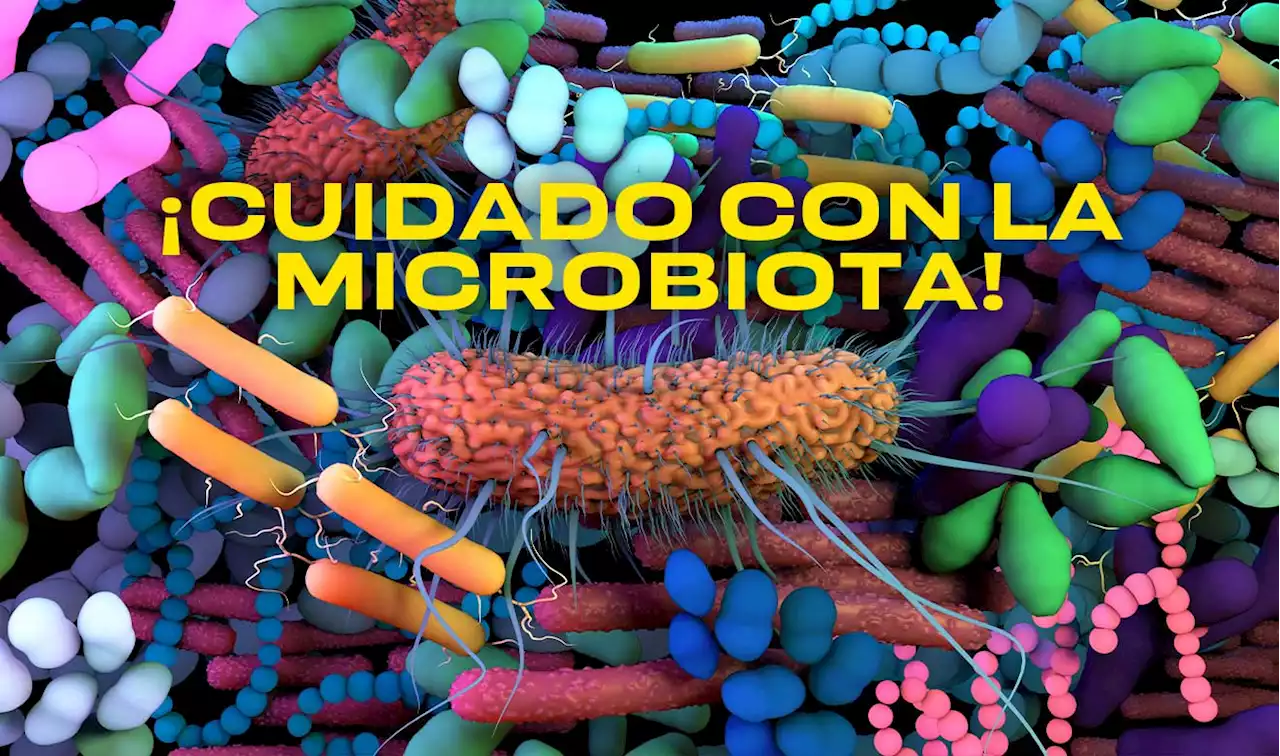 ¿Cómo ayuda el ejercicio a mejorar la flora intestinal? - UNAM Global