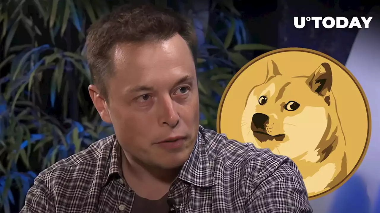 Elon Musk's Intriguing Tweet Draws Attention of Dogecoin Army: Details