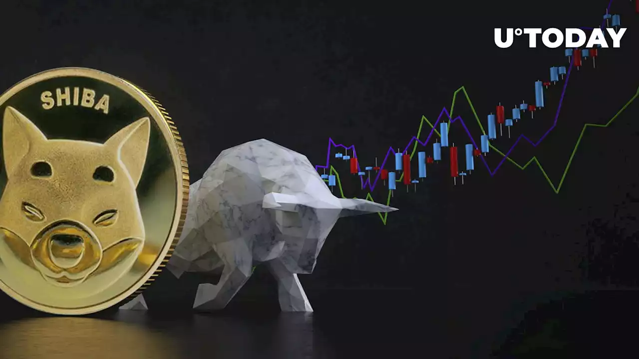 Shiba Inu (SHIB) Charts Bullish Momentum, Here Are Likely Triggers