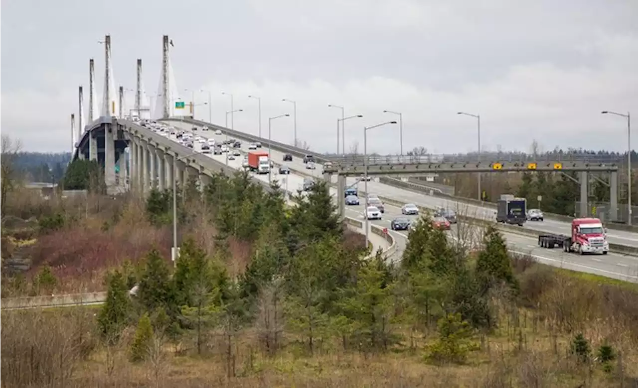 Homicide squad called in after body found in Pitt Meadows