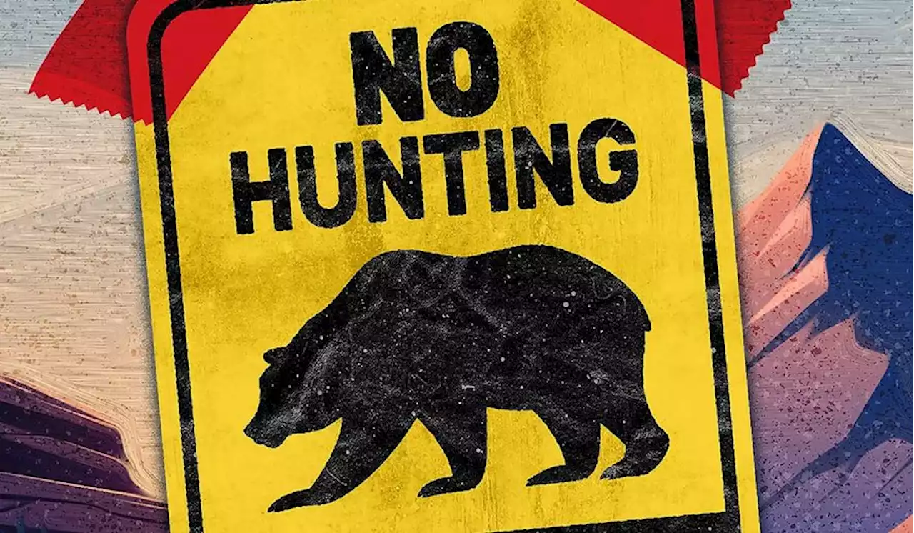 Activists weaponize Endangered Species Act to oppose hunting grizzly bears