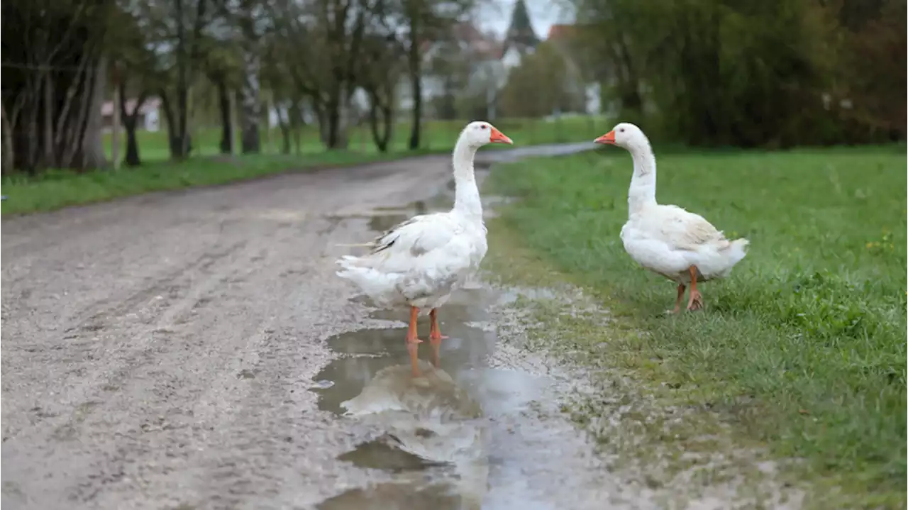 Wetter in Deutschland: 'Fettauge' sorgt für ungewöhnliche Wetterlage