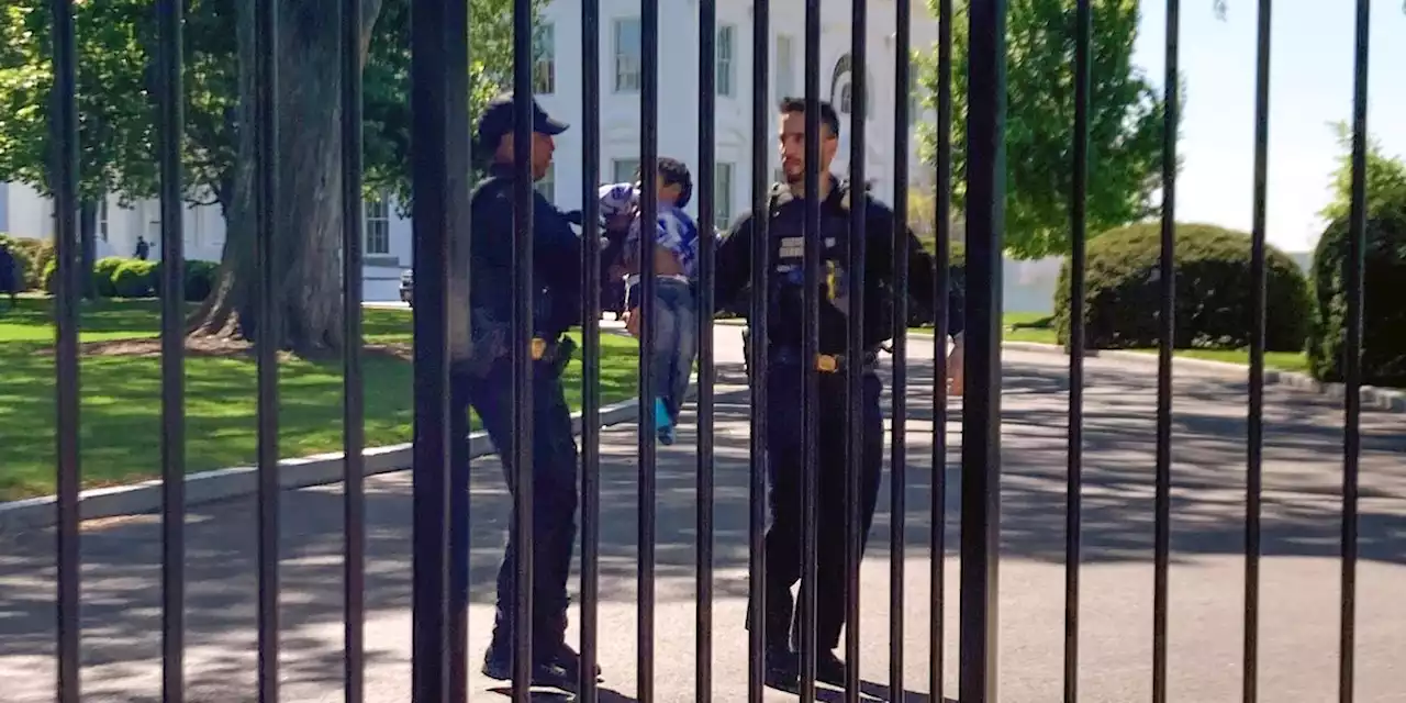 Littlest intruder: Toddler crawls through White House fence