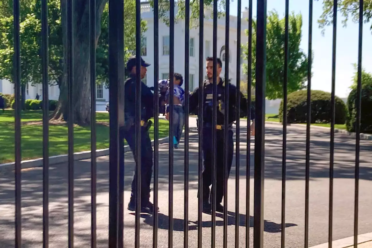 Littlest intruder: Toddler crawls through White House fence