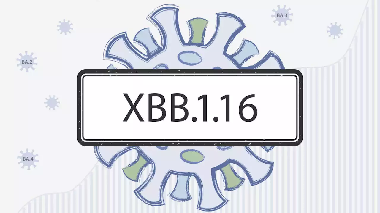 What to know about XBB.1.16, a new Omicron variant on the WHO’s radar